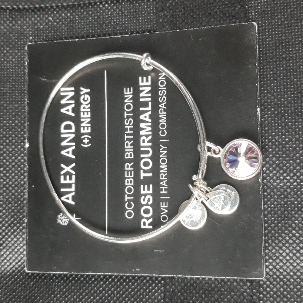 Alex And Ani charm bracelet